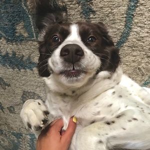 Meet your Posher, Elyse